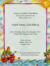 Noah birth announcement