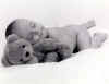 Noah 10 weeks with bear B&W