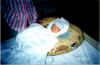 Noah laying in tube